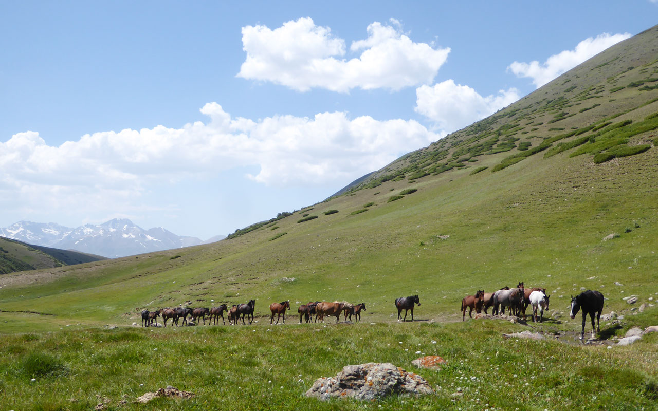 BergFrau Trekking Kirgistan Sary Chelek