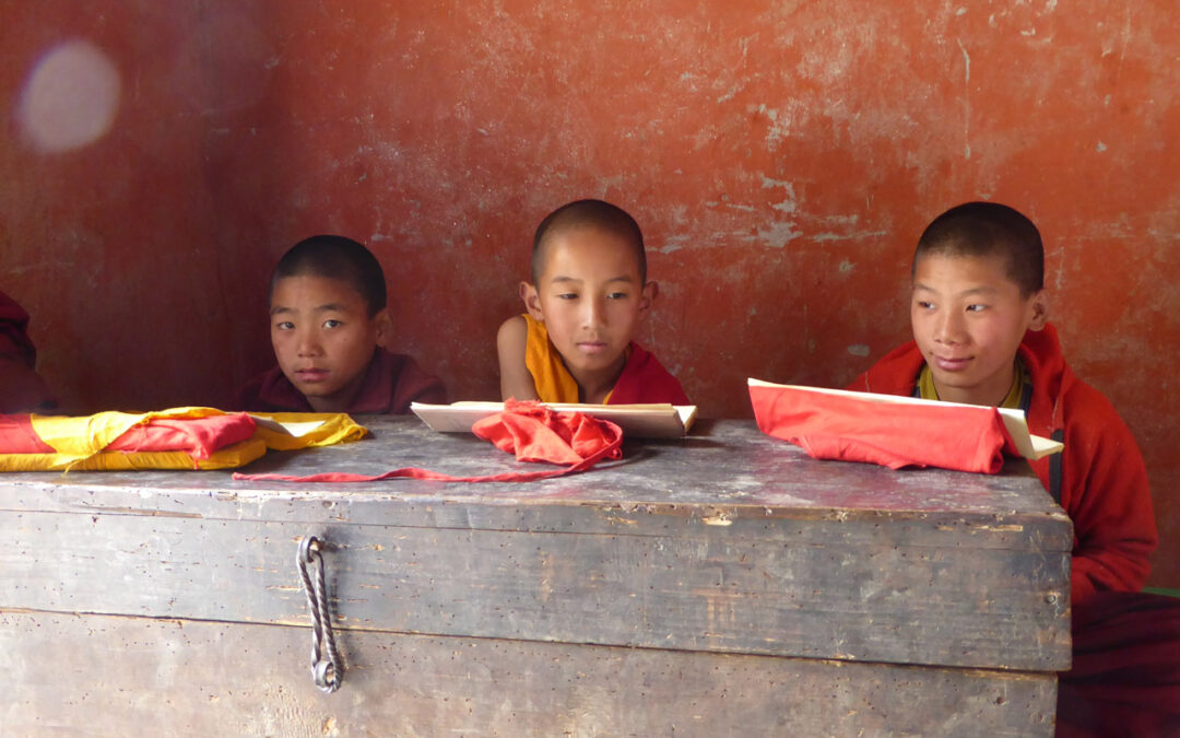 Nepal. Trekking- & Kultur-Reise, Programm