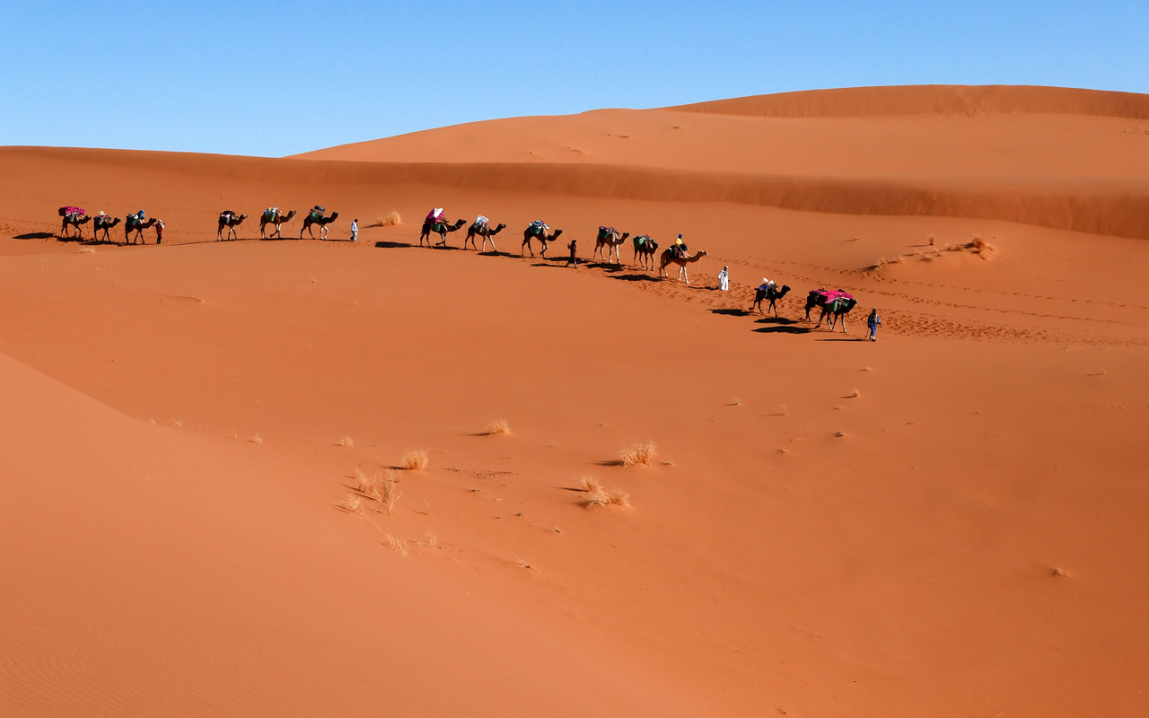 Trekking Wandern Marokko Wüste