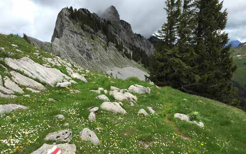 Tageswanderung für Frauen Berner Oberland