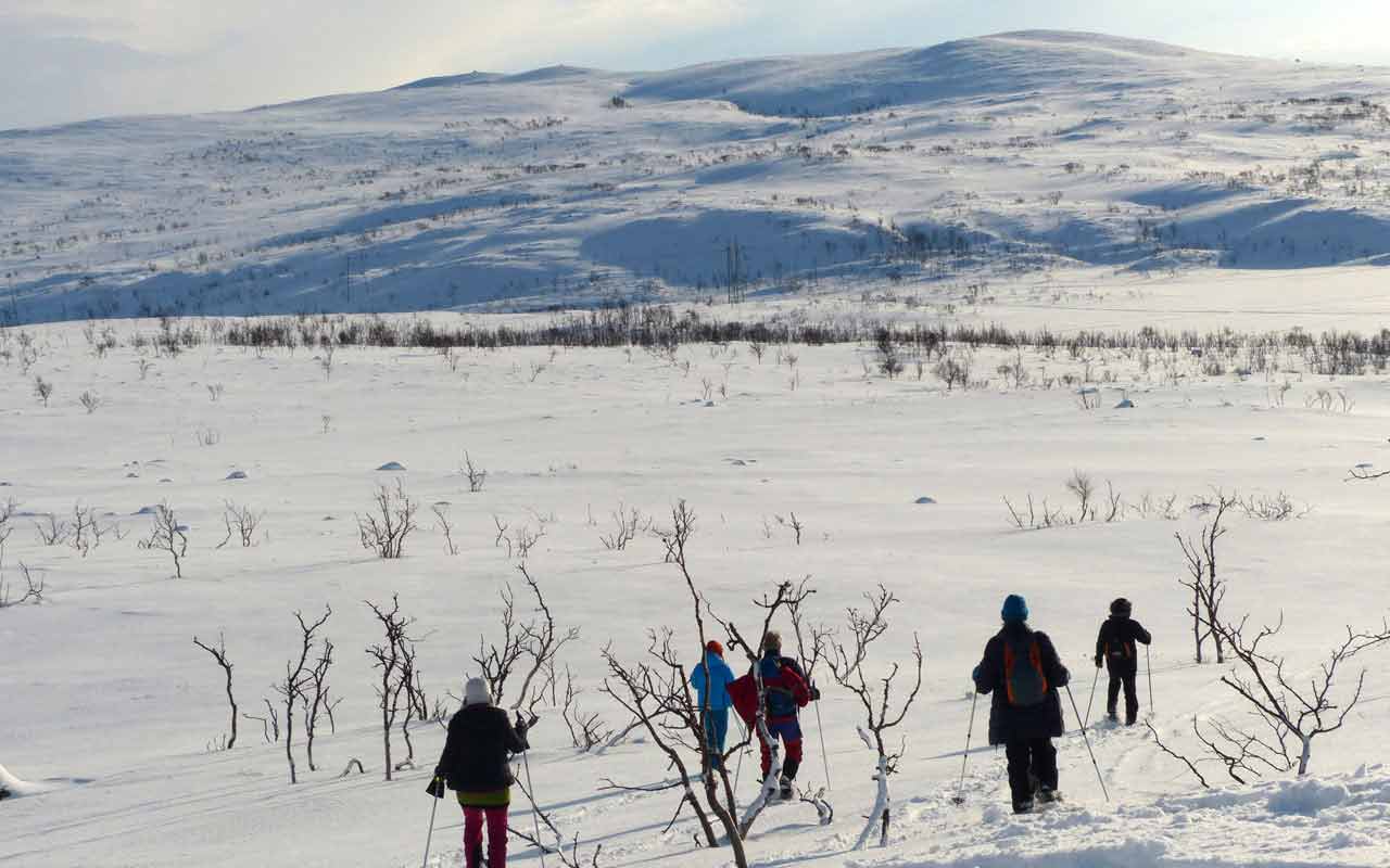 Lappland im Winter Nordlicht