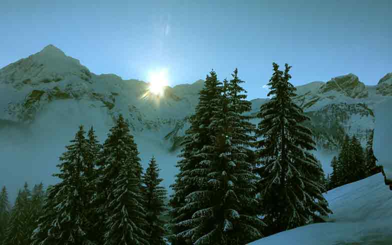 Schneeschuhtour Januar-Vollmond Prättigau