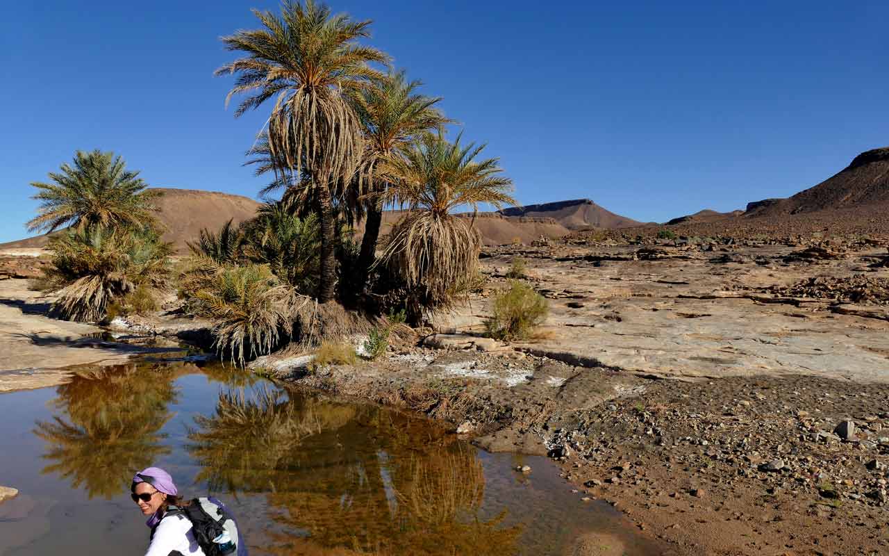Trekking/Wandern Wüste Marokko