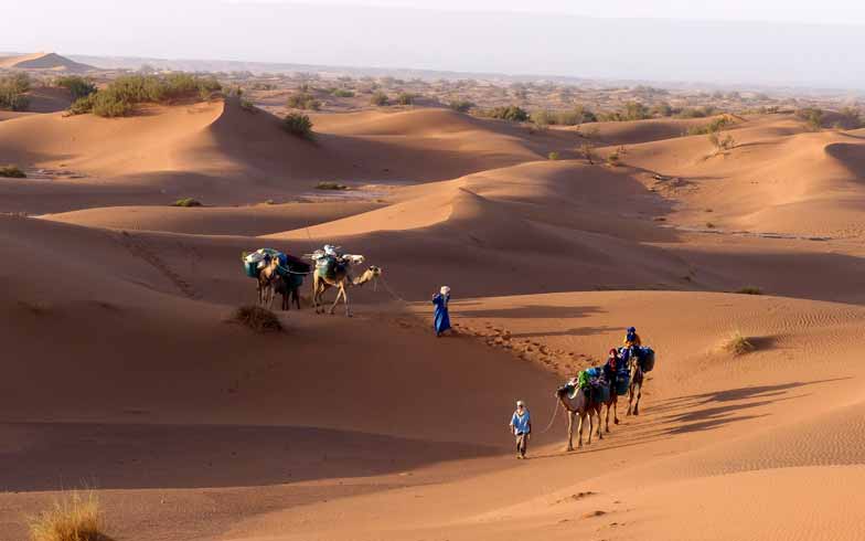 Marokko. Wandern Trekking Vallée du Drâa – Wüste