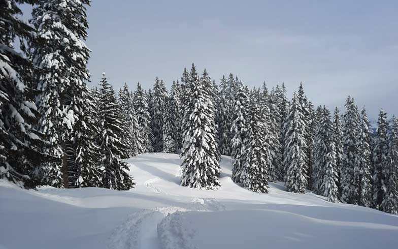 Schneeschuhtouren im Prättigau Furna