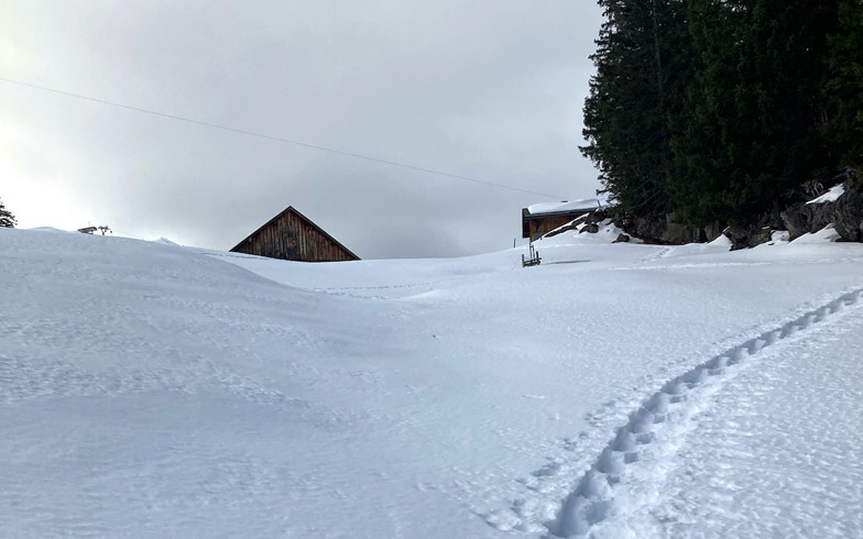 Schneeschuhwandern Furna Hinterberg Prättigau
