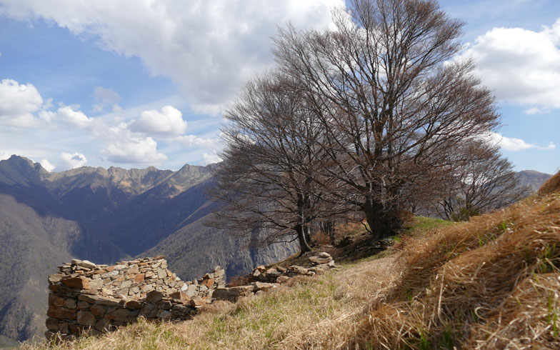 Bergwandern Val Grande Piemont
