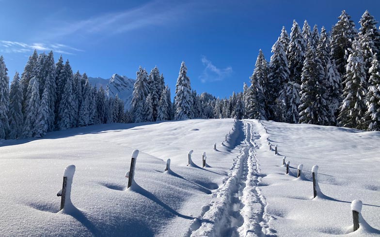 Schneeschuhwandern Zentralschweiz