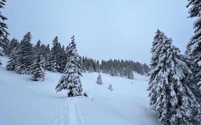 Schneeschuhwandern Prättigau Graubünden